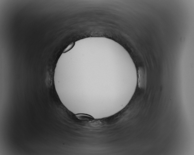 X0000087751491200705291022