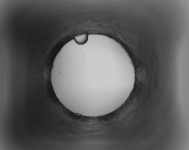 X0000087751495200705291023