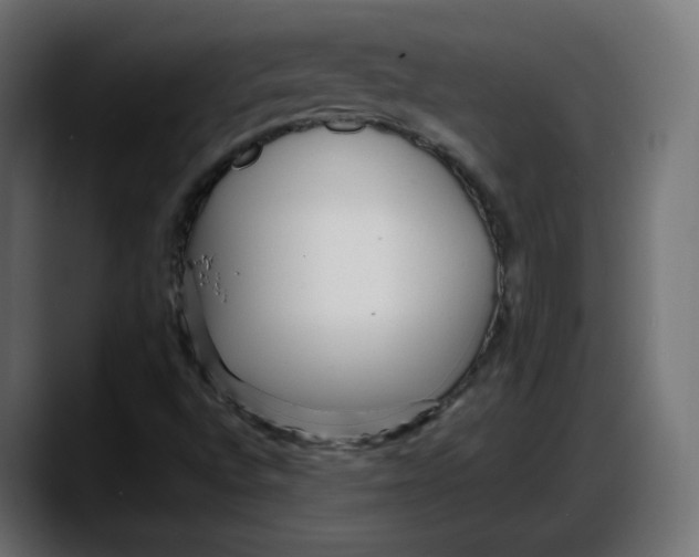 X0000087751496200705291023