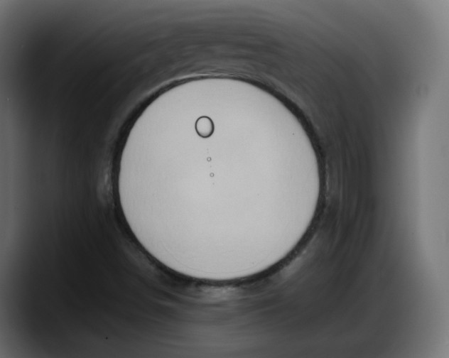 X0000087751498200705291023