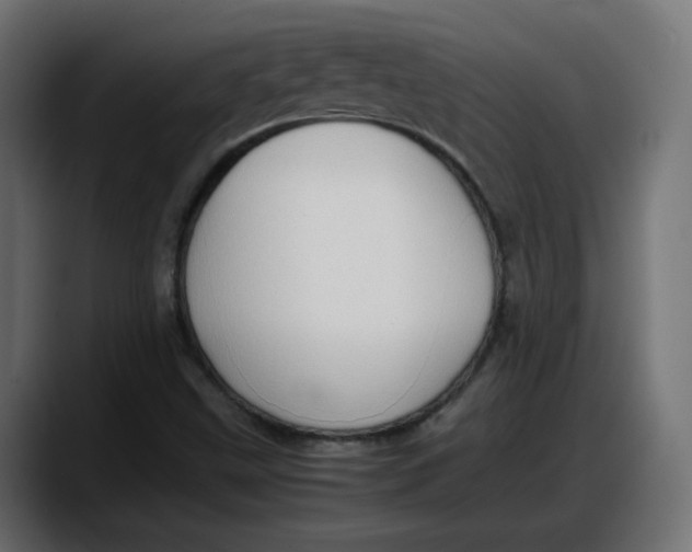 X0000087751499200705291023