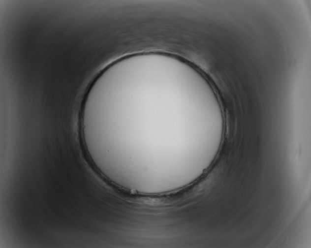 X0000087751500200705291023