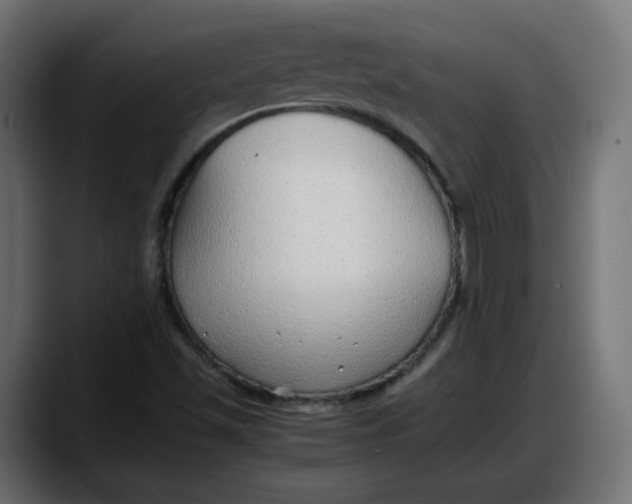 X0000087751501200705291023