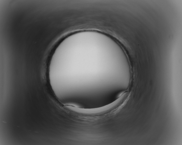 X0000087751502200705291023