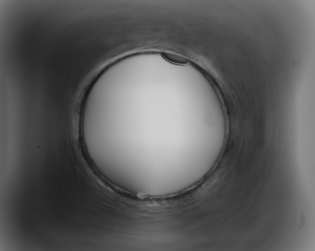 X0000087751504200705291023