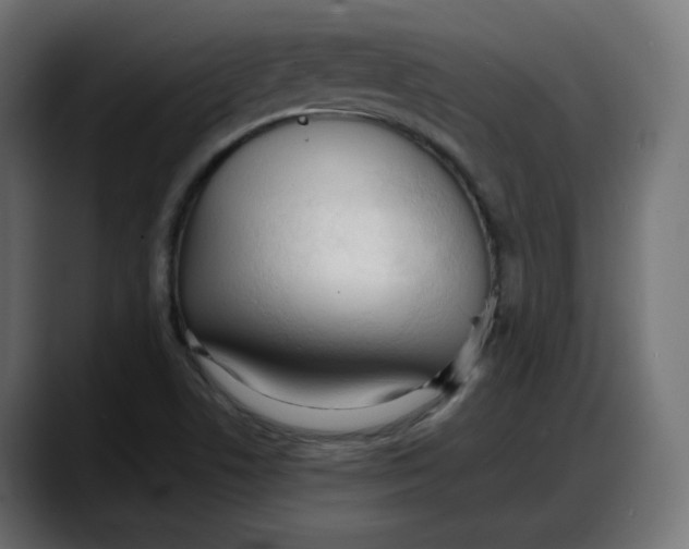 X0000087751506200705291023