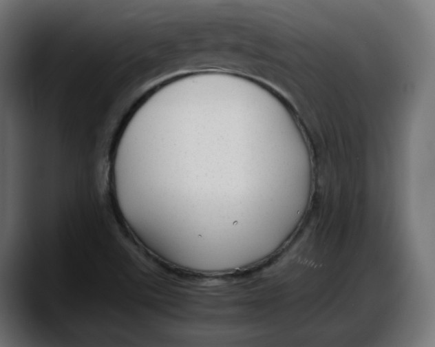 X0000087751507200705291023