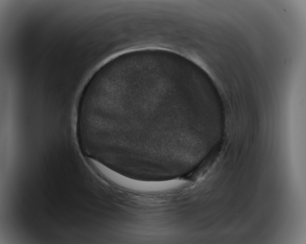 X0000087751508200705291023