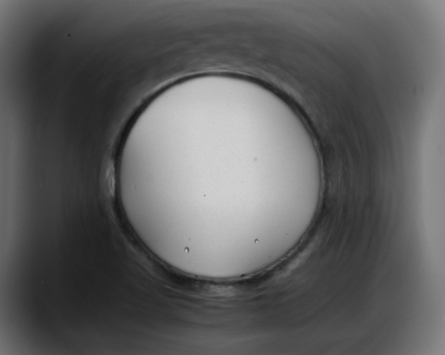 X0000087751509200705291023