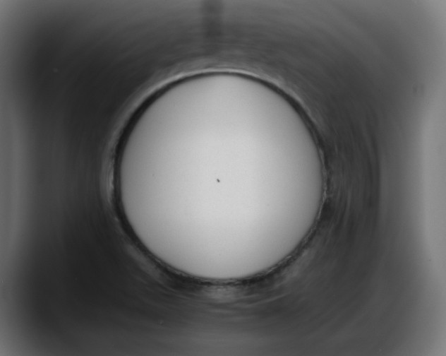 X0000087751511200705291023