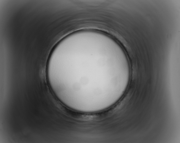 X0000087751513200705291023