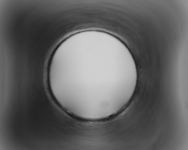 X0000087751518200705291023