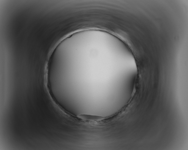 X0000087751524200705291023