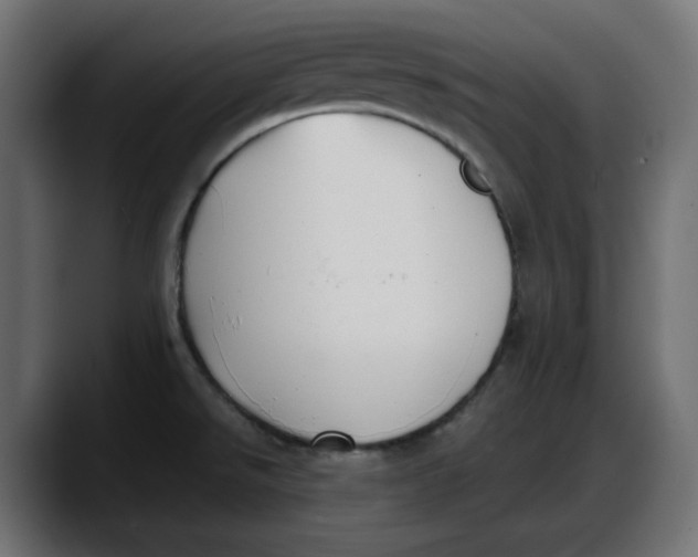 X0000087751526200705291023