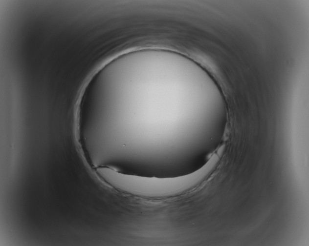 X0000087751528200705291023