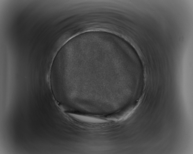 X0000087751529200705291023