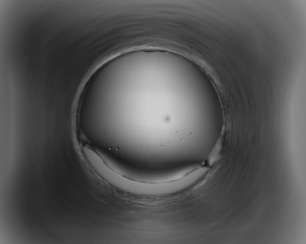 X0000087751530200705291023