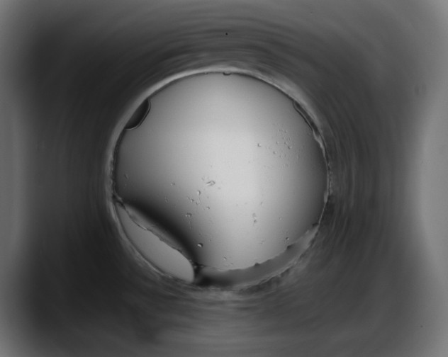 X0000087751532200705291023