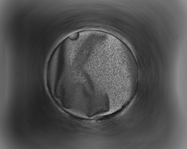 X0000087751533200705291023