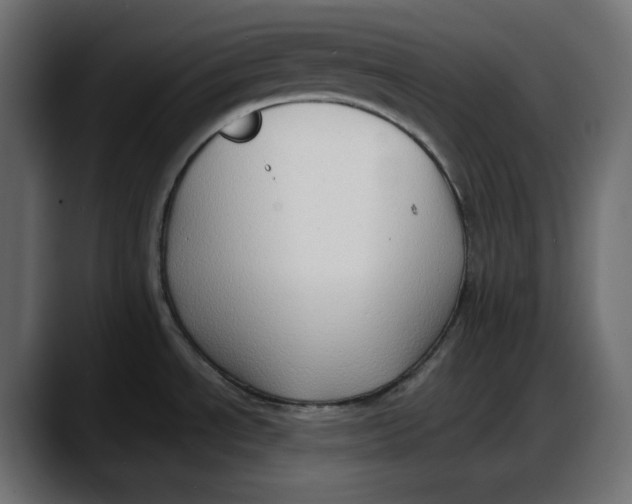 X0000087751534200705291023