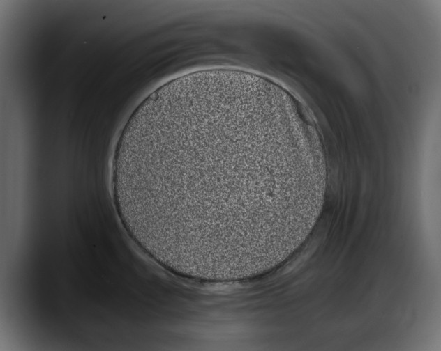 X0000087751535200705291023