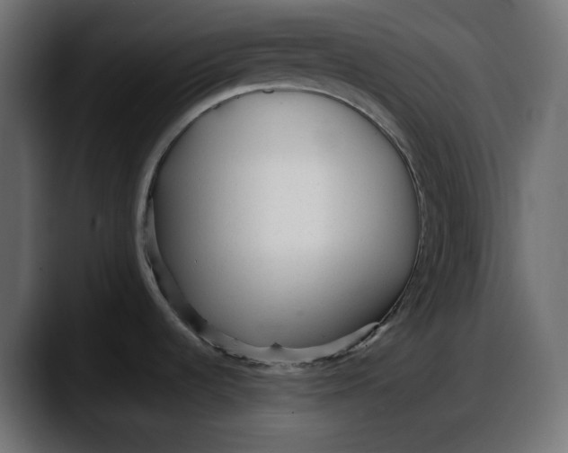 X0000087751536200705291023