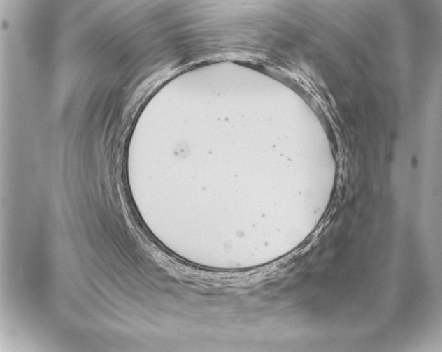 X0000087750001200706041113