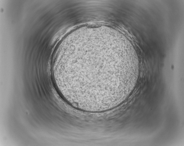 X0000087750002200706041113