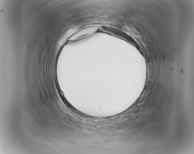 X0000087750003200706041113