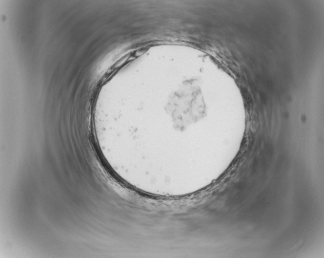 X0000087750005200706041113