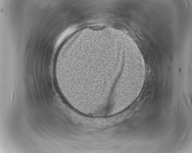 X0000087750006200706041113