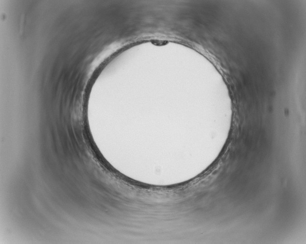 X0000087750008200706041113