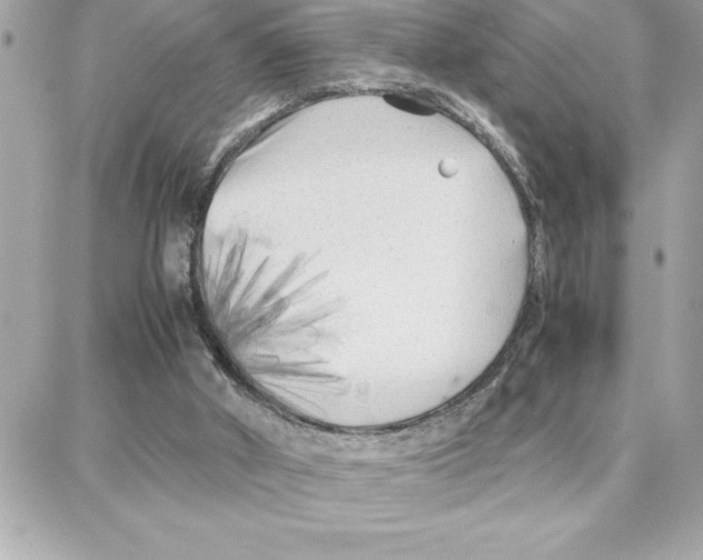 X0000087750010200706041113