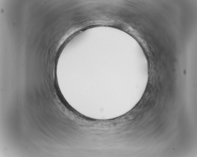 X0000087750011200706041113