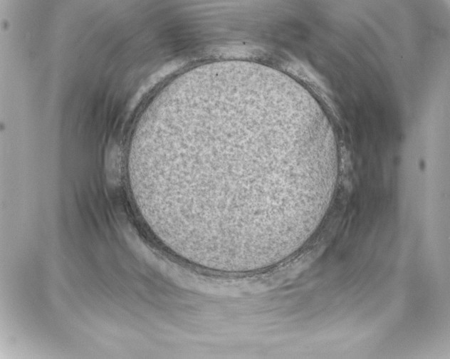 X0000087750012200706041113