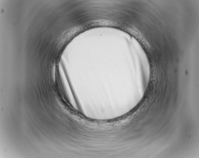 X0000087750014200706041113