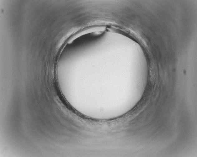 X0000087750015200706041113