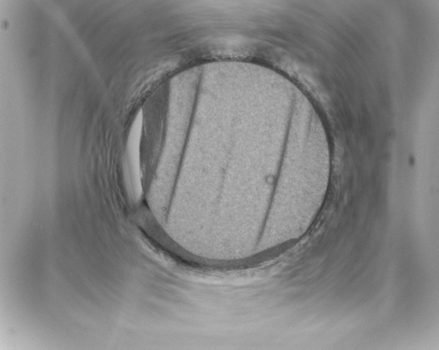 X0000087750017200706041113