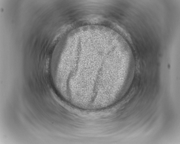 X0000087750018200706041113