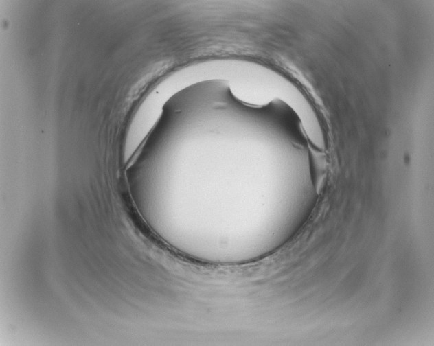 X0000087750019200706041113