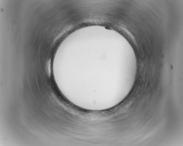 X0000087750020200706041113