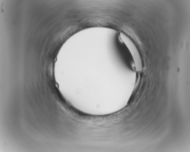 X0000087750021200706041113