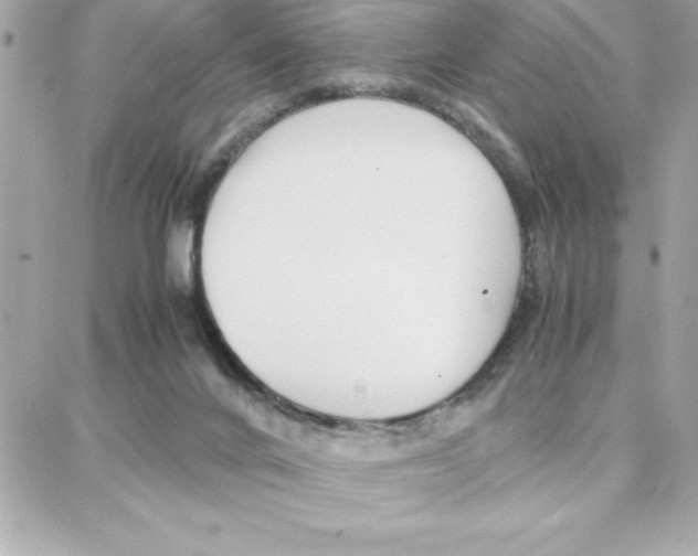 X0000087750024200706041113