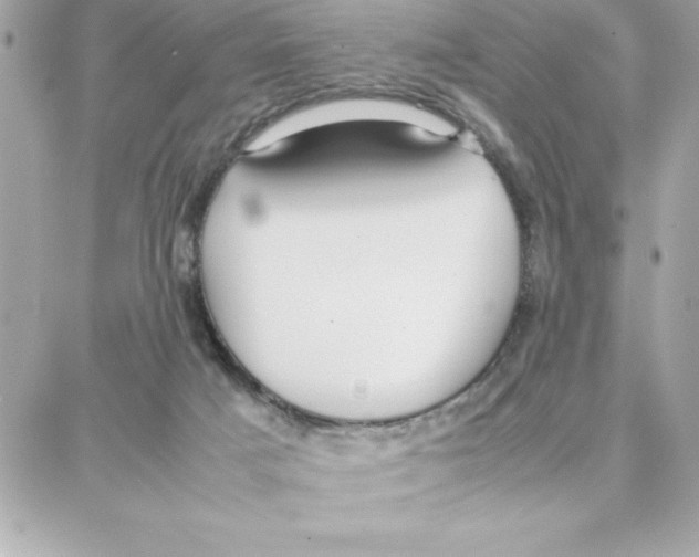 X0000087750025200706041113