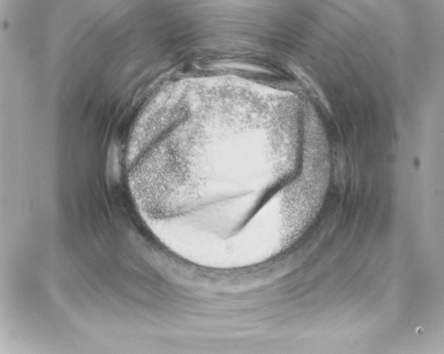 X0000087750026200706041113