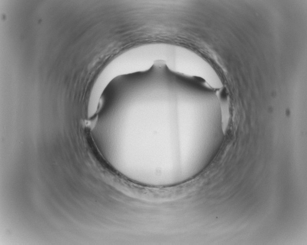 X0000087750027200706041113