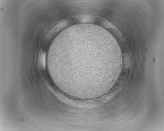 X0000087750028200706041113