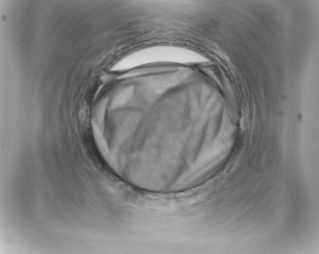 X0000087750029200706041113