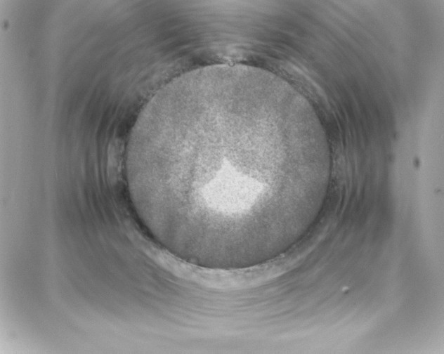 X0000087750030200706041113