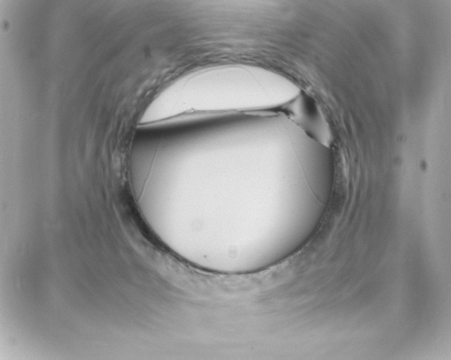 X0000087750031200706041113